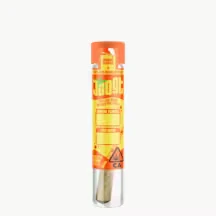 Joost - MANGO GOLD X SUPER SILVER HAZE INF PREROLL | 1G | SATIVA Main Image