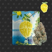 LEMON FRUZ | 3.5G SATIVA