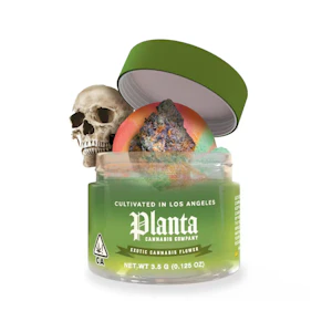 Planta cannabis co - 11 COFFINS | 3.5G | HYBRID