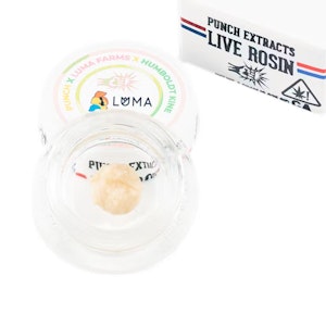 Punch - LIME STAR-BURST LIVE ROSIN BADDER | T1 | 1G