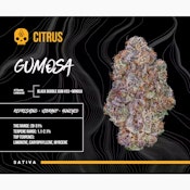 BOSKY | GUMOSA | 14G | SMALLS