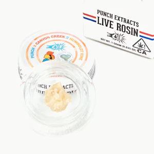 Punch - NECTARINE SLUSHIE | T3 | 1G