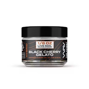 Wav - BLACK CHERRY GELATO | 3.5G