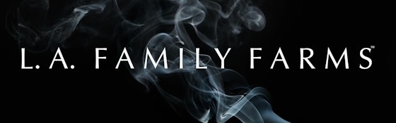 SOUR FUEL BIGS | 14G | HYBRID