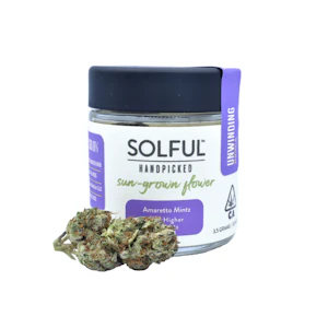Solful - ARMARETTO MINTZ | 3.5G INDICA