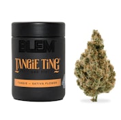 TANGIE TING | 3.5G | SATIVA
