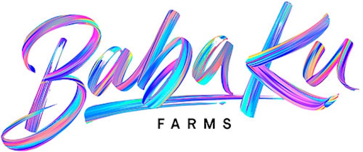 Baba ku - PURPLE MAPLE DRIP | 3.5G | HYBRID