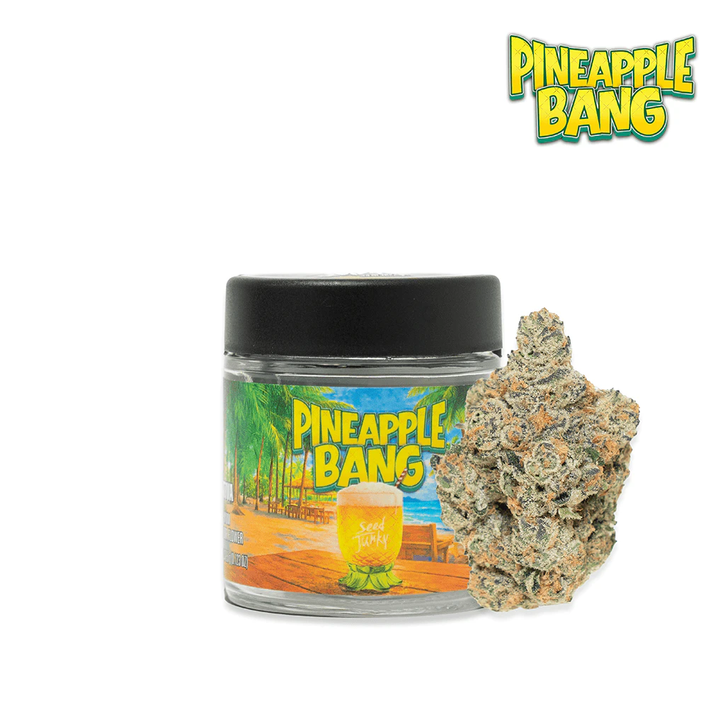 Seed junky - PINEAPPLE BANG | 3.5G | SATIVA Main Image