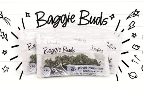 Baggie buds - MANGO HAZE | 3.5G