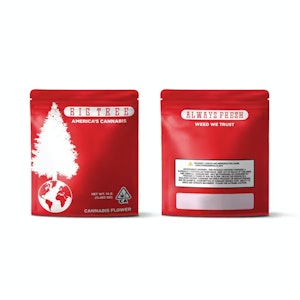 Big tree - SOUR APPLE | 14G