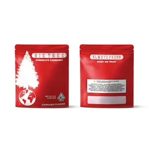 Big tree - LA CONFIDENTIAL | 14G | INDICA