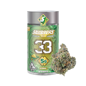 Sluggers - 33 | 5G | HYBRID