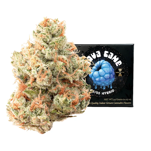 Team elite genetics - NOVA CANE | 3.5G | HYBRID Main Image