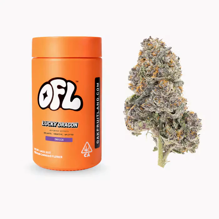 Oakfruitland - LUCKY DRAGON BIGS | 14G | INDICA Main Image