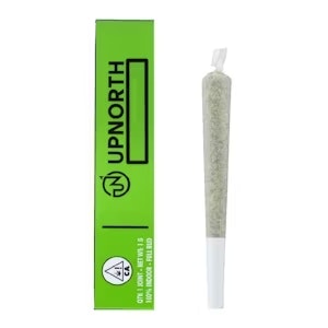 Upnorth - PURPLE ZAZA PREROLL | 1G