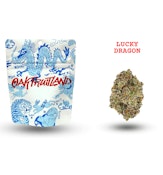 LUCKY DRAGON | 3.5G | HYBRID