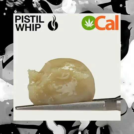 Pistil whip - GUAVA DIESEL ROSIN | 1G | HYBRID Main Image
