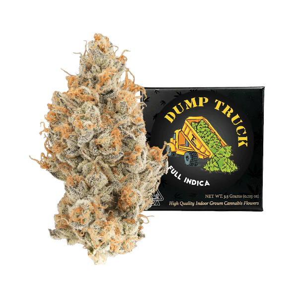 Team elite genetics - DUMP TRUCK | 3.5G | INDICA Main Image