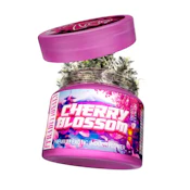 CHERRY BLOSSOM | 3.5G | HYBRID