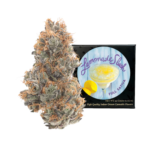 Team elite genetics - LEMONADE SLUSH | 3.5G | SATIVA Main Image