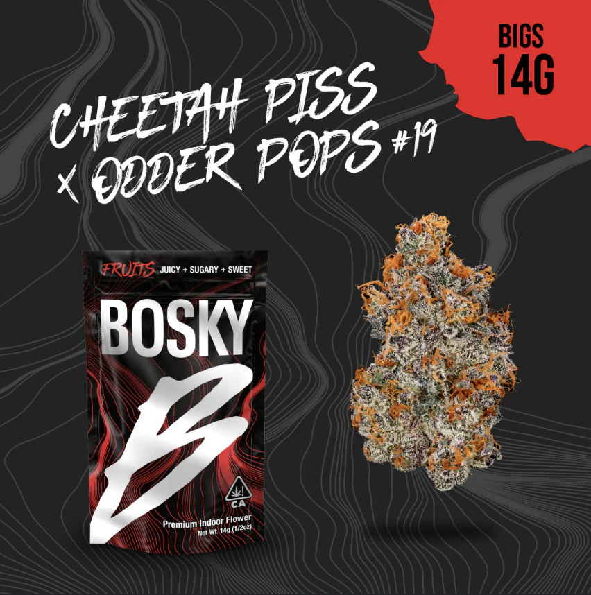 Bosky genetics - CHEETAH PISS X ODDER POPZ #19 BIGS | 14G | SATIVA Main Image