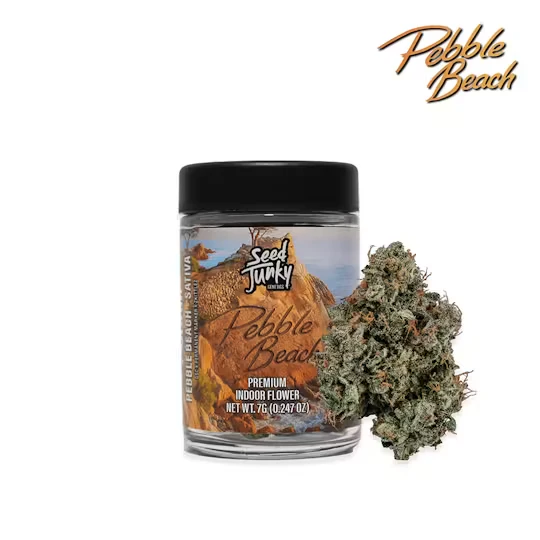 Seed junky - PEBBLE BEACH BIGS | 7G | SATIVA Main Image