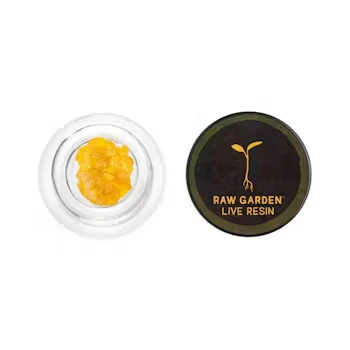 Raw garden - SUGAR BEARS LIVE RESIN | 1G | HYBRID Main Image