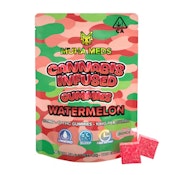 WATERMELON GUMMIES | 10 PK | 100MG | INDICA