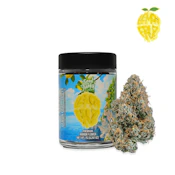 LEMON FRUZ BIGS | 7G SATIVA