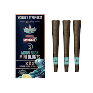 Presidential - XXX MINI BLUNTS | 3PK | 2.1G