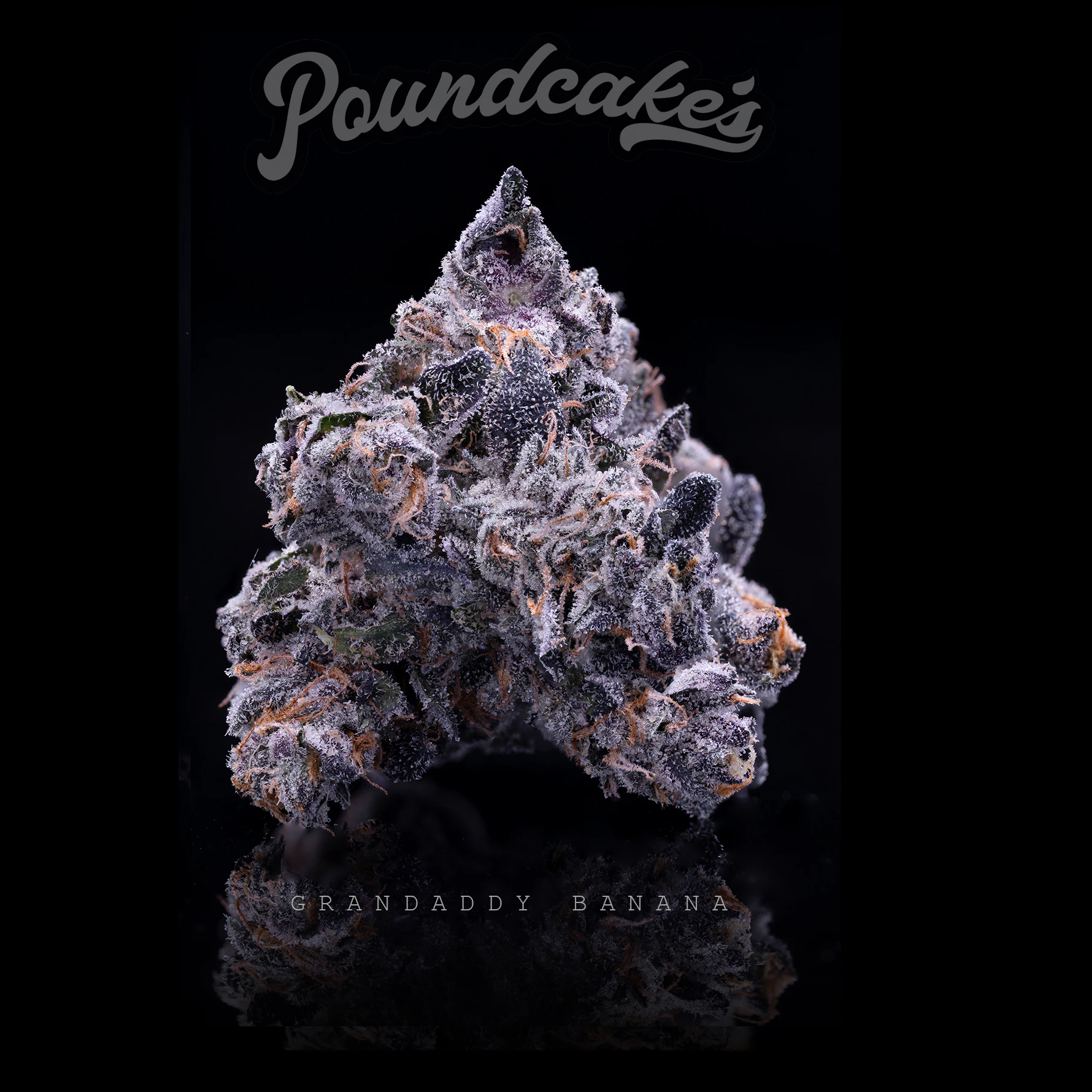Poundcakes - GRANDDADDY BANANA | 3.5G Main Image