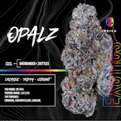 OPALZ | 3.5G | INDICA