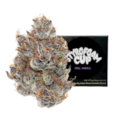 STYROFOAM CUP | 3.5G | INDICA
