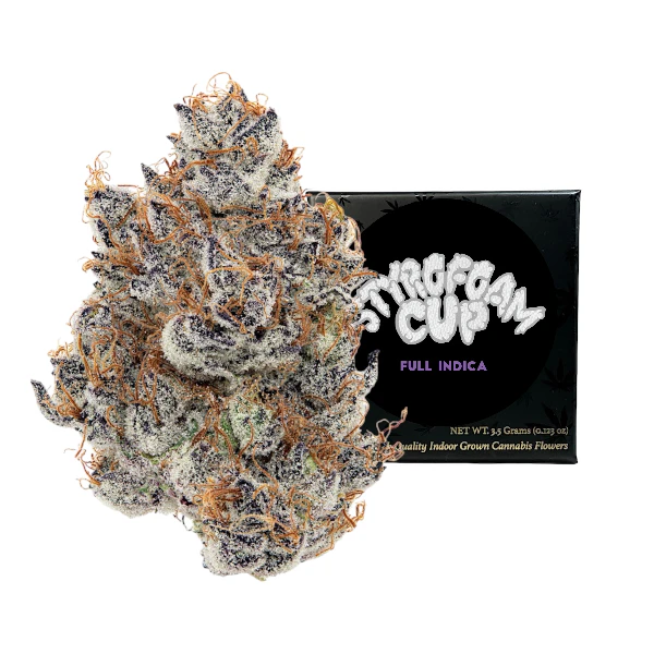 Team elite genetics - STYROFOAM CUP | 3.5G | INDICA Main Image