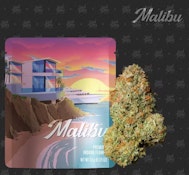 MALIBU | 3.5G | HYBRID