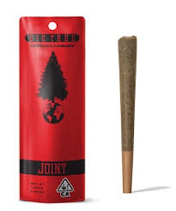 Big tree - PAPAYA RUNTZ | 1G