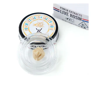 Punch - STR8 MIMOSA #7 | LIVE ROSIN TIER 3 | 1G