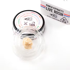 Punch - PINK TALLYMON | T2 | 1G