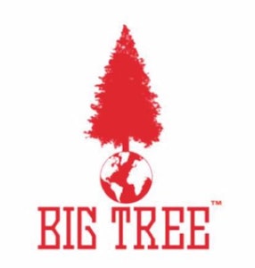 Big tree - SPACE BURGER | 14G | HYBRID