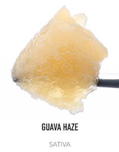 West coast cure - GUAVA HAZE | LIVE RESIN BADDER 1G SATIVA