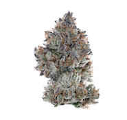 CUBAN LINX | 3.5G SATIVA
