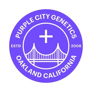 Purple city genetics - CURACAO
