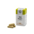 20PK CEREAL MILK (TABLET)