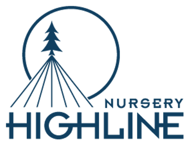 Highline nursery - SHERB CREAM PIE