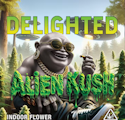 ALIEN KUSH