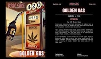 AIO 1G GOLDEN GAS (ROSIN)
