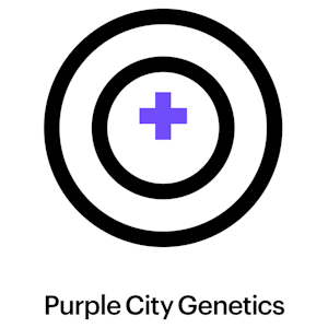 Purple city genetics - BISHOP SEEDLING