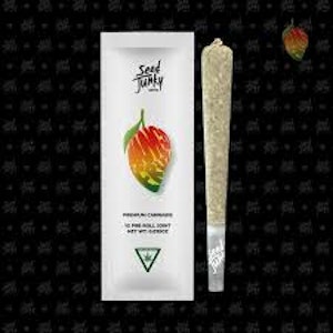  - MANGO FRUZ