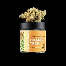 Greenline - ORANGE TREE Main Image