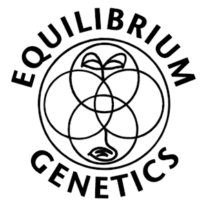 Equilibrium - SOUR DIESEL BX
